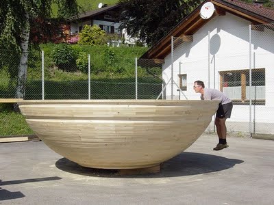 Image result for world largest bowl